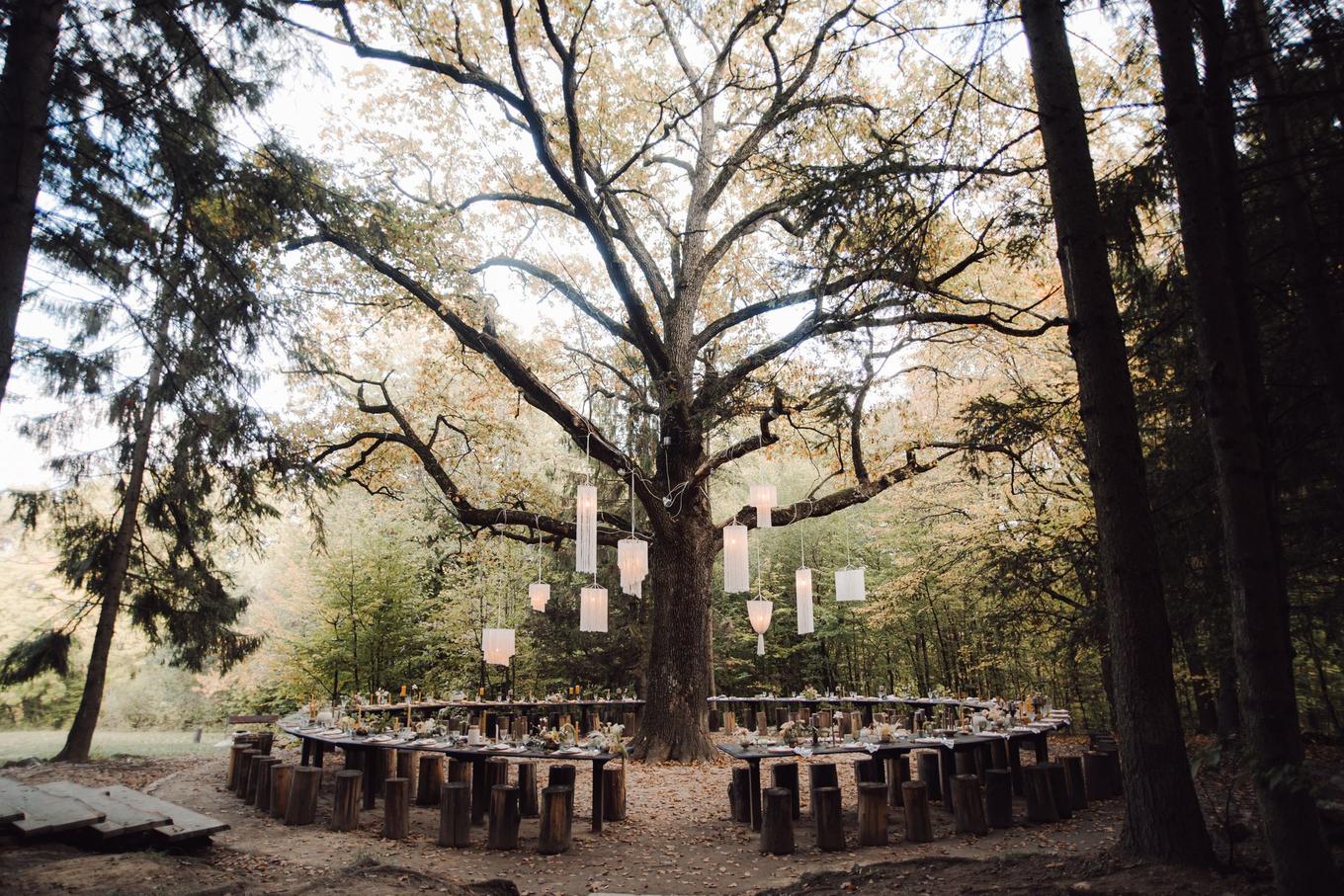 Waldhochzeit feiern â 26 tolle Ideen und Tipps zum traumhaften Heiraten im Wald