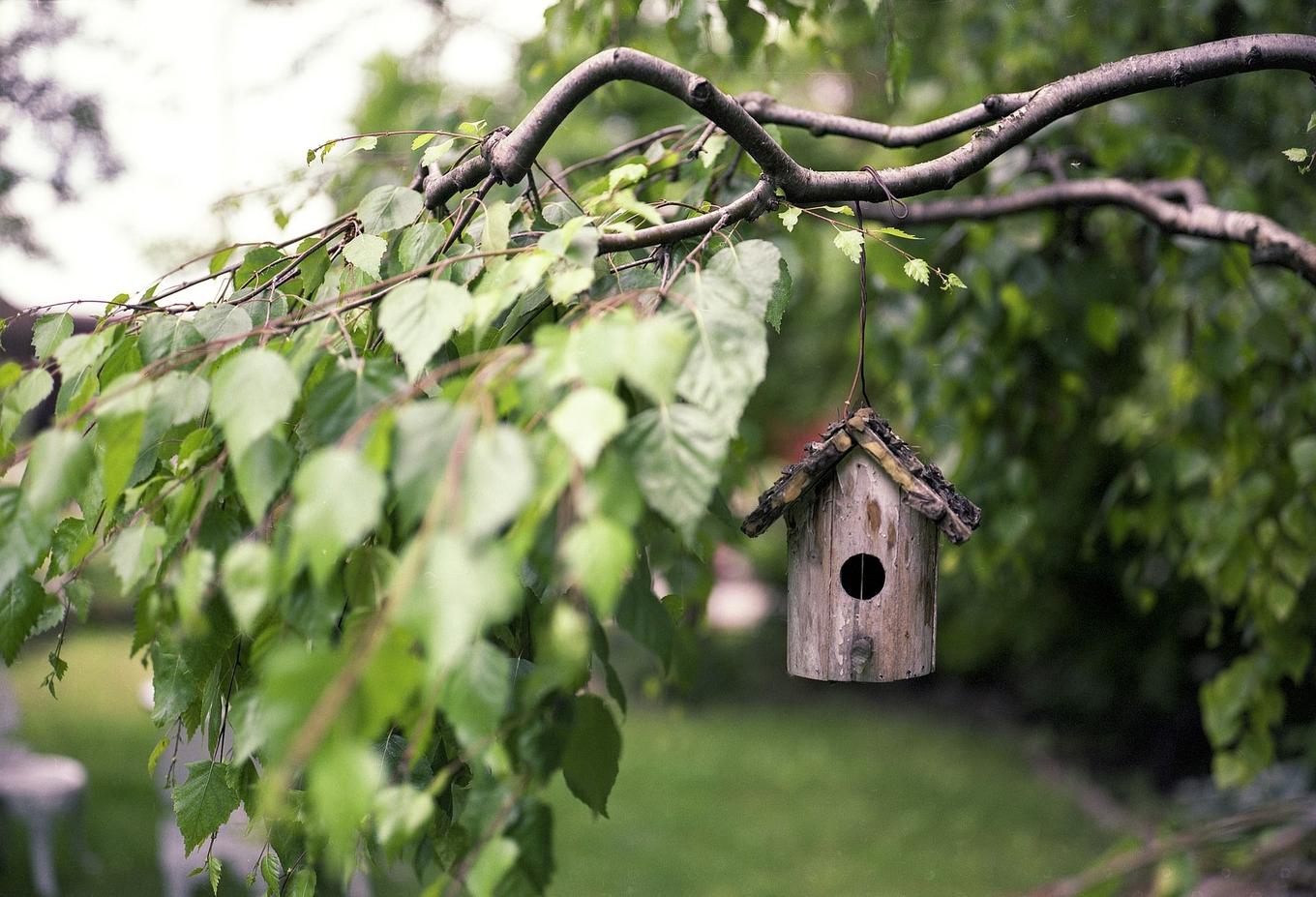 Vogelhaus zur Hochzeit - das perfekte Hochzeitsgeschenk