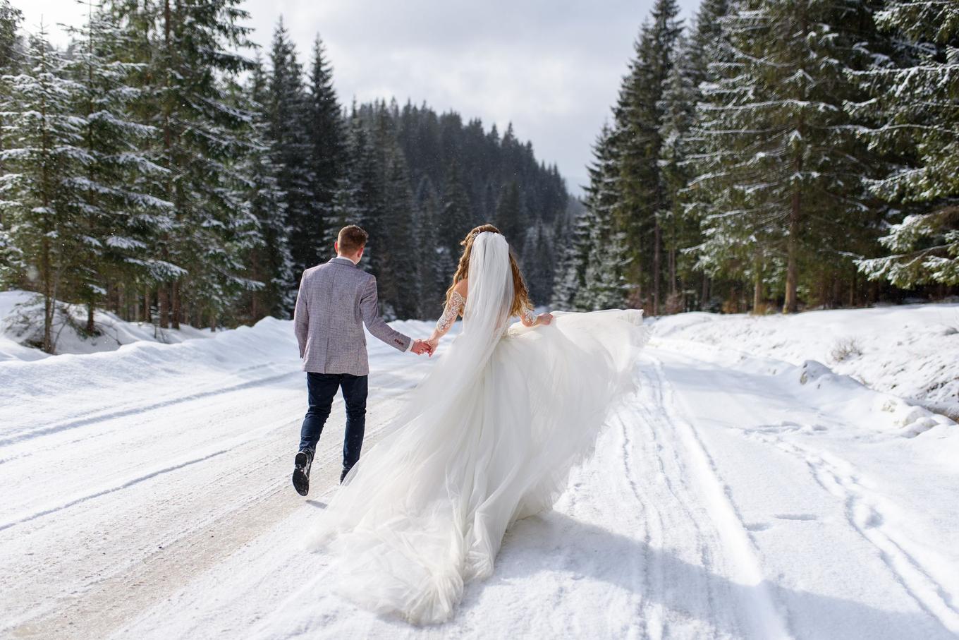 Die Winterhochzeit
