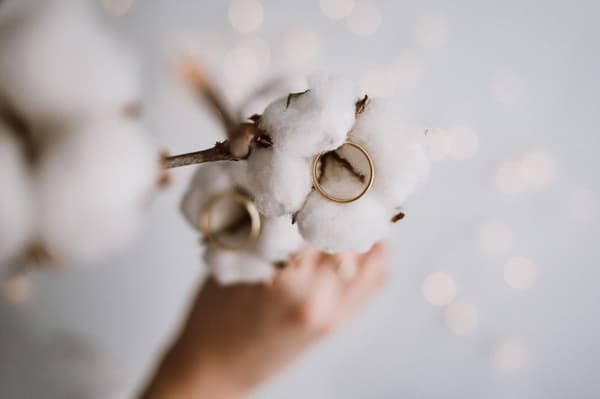 Baumwollhochzeit - Wünsche und Bräuche zum 2. Hochzeitstag