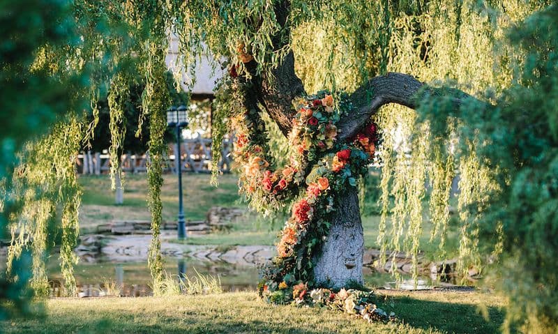 Wunderschöner Blumenschmuck an einem Baum