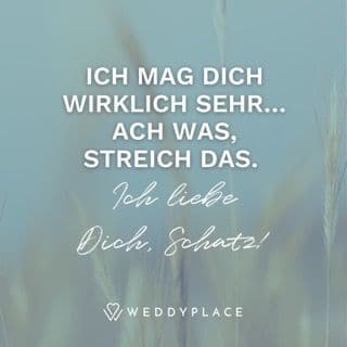 Ich mag Dich wirklich sehr... Ach was, streich das. Ich liebe Dich, Schatz!
