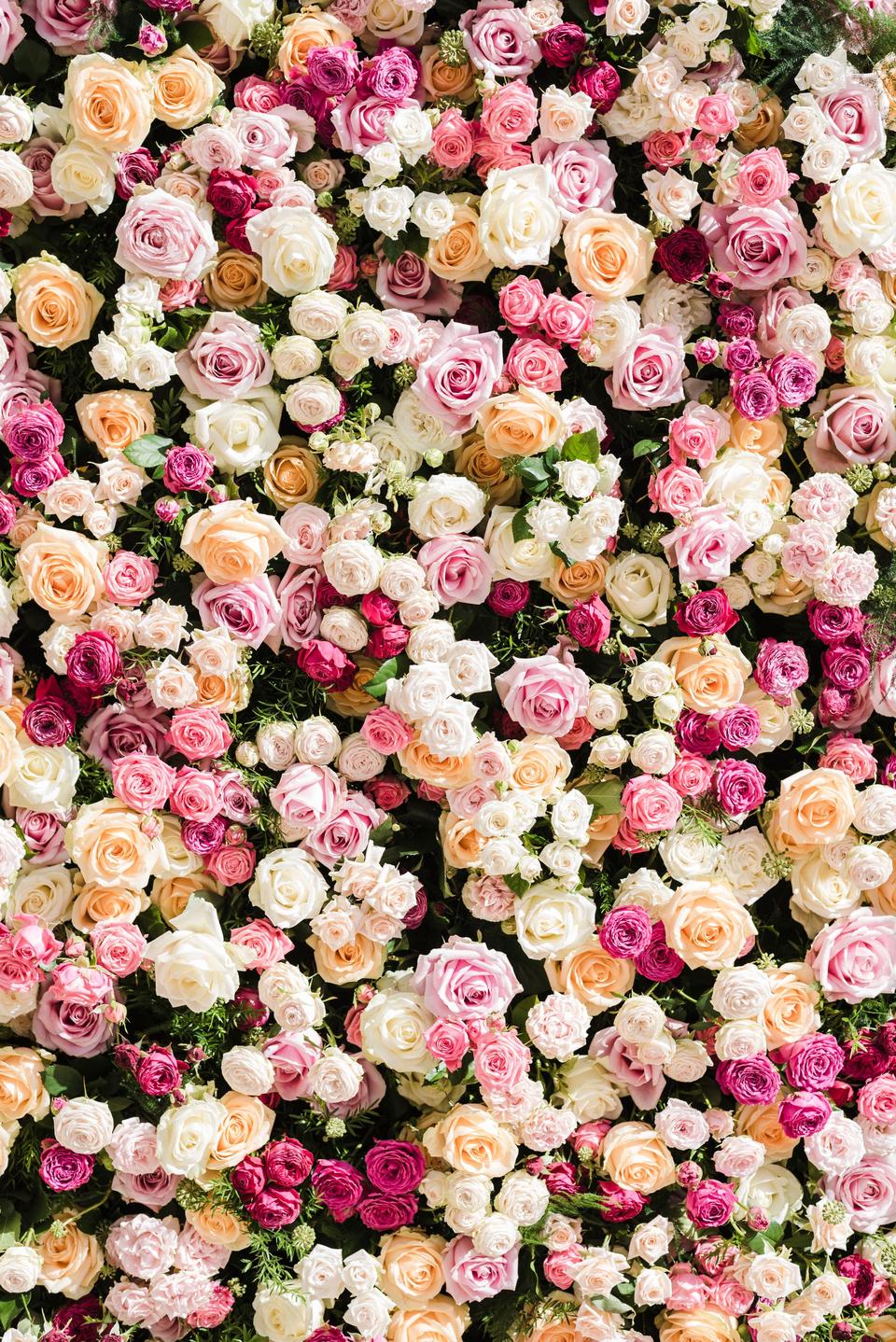 Blumenwand rosen