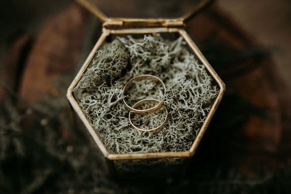 Ringbox Natur mit Hochzeitsringen