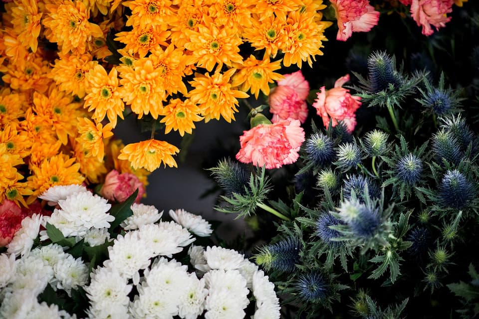 bunte Blumen für die Blumendeko