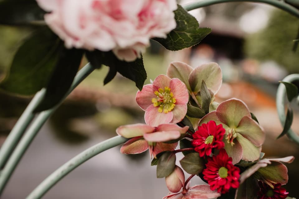 Blumen Details