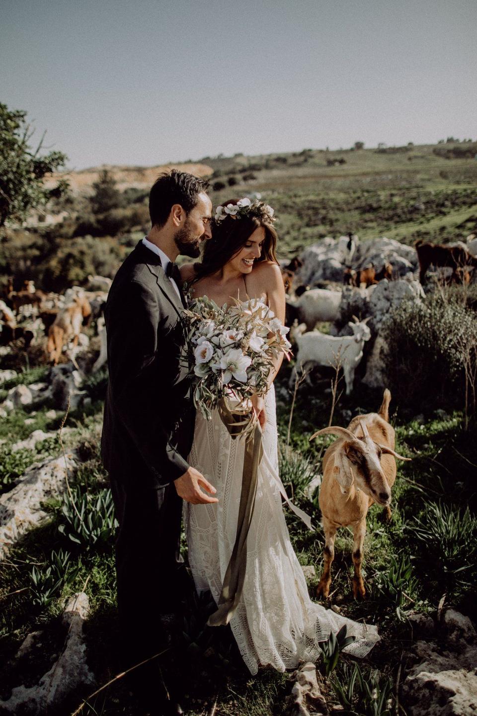 After Wedding Shooting mit Tieren in der Natur