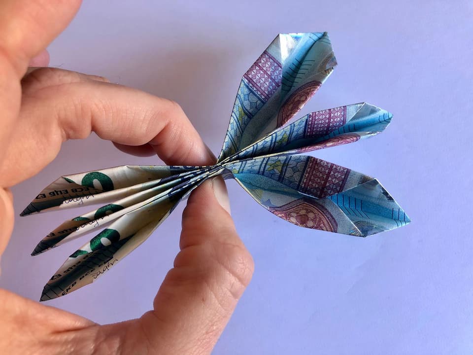 Schritt 6 Geldblume - Geldschein