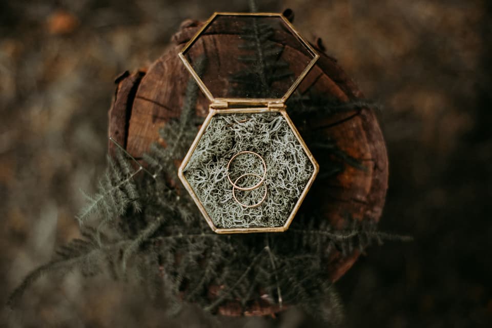 Goldenes Ringkästchen mit Moos und Ringen