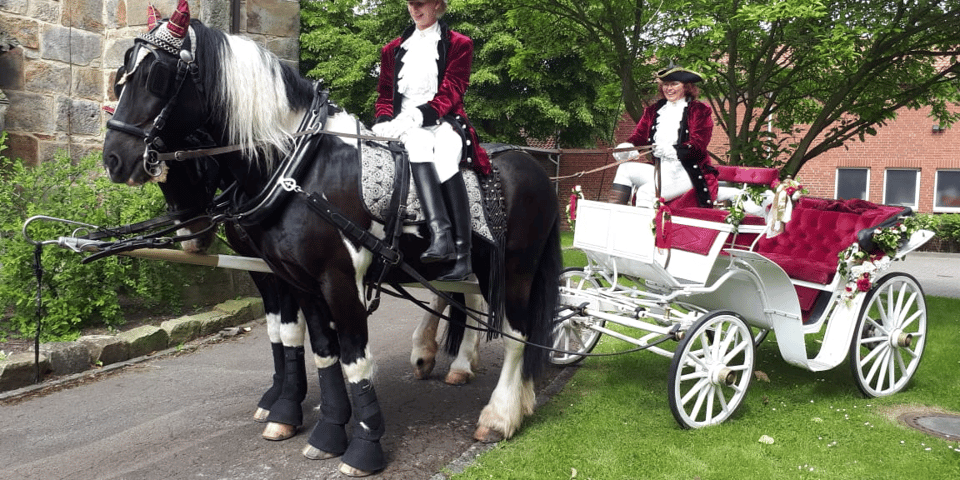 weiße Hochzeitskutsche mit roten Sitzbänken