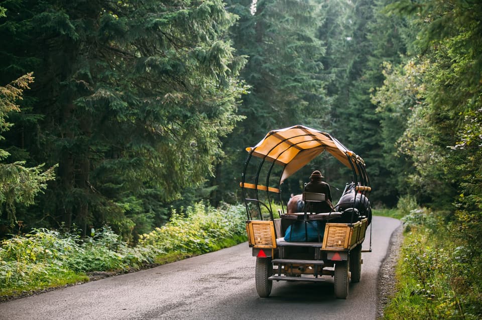 Ein Planwagen im Wald