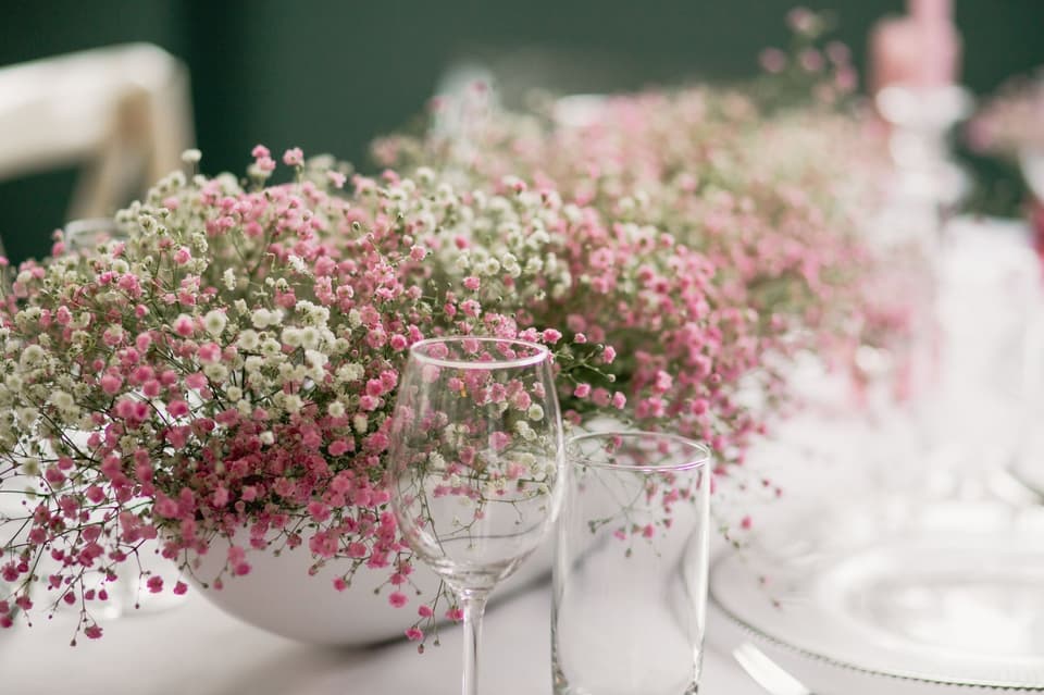 Eine flache Vase ist mit Schleierkraut befüllt