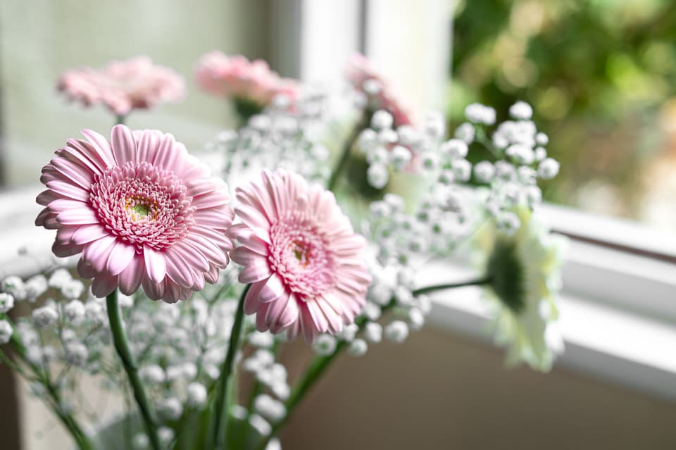 Ideen mit Gerbera sind immer top Blumenschmuck