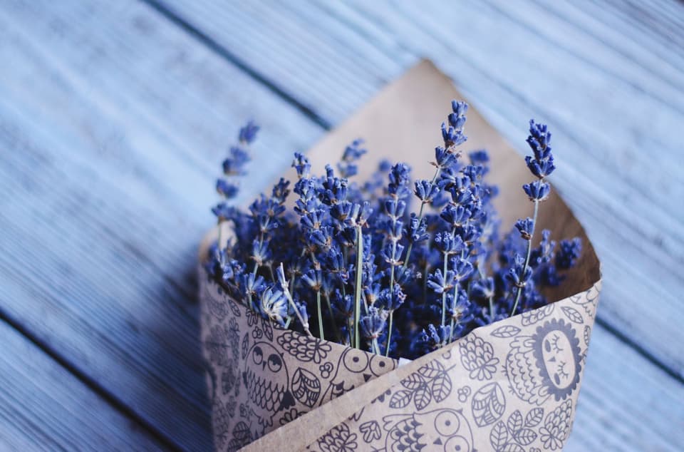 Lavendel duftet und schmückt gut