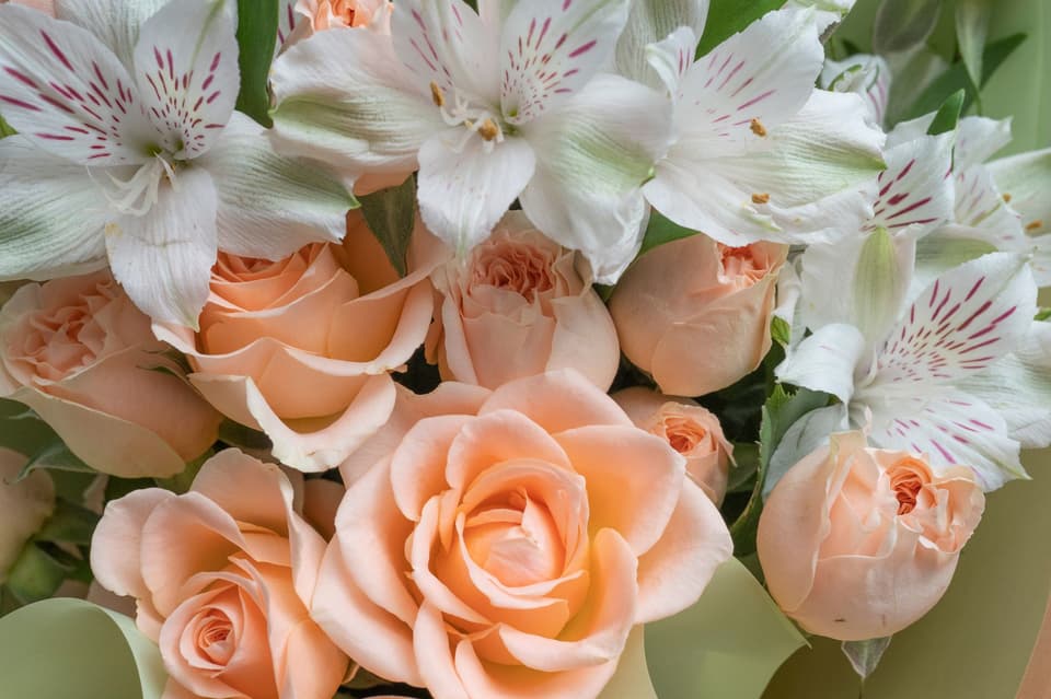 Lilien sind echte Kracher im Blumenschmuck