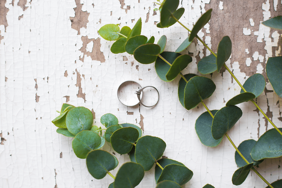 Eukalyptus Hochzeit: Eheringe zwischen Eukalyptus