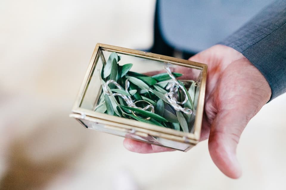 Eheringe zwischen Eukalyptus