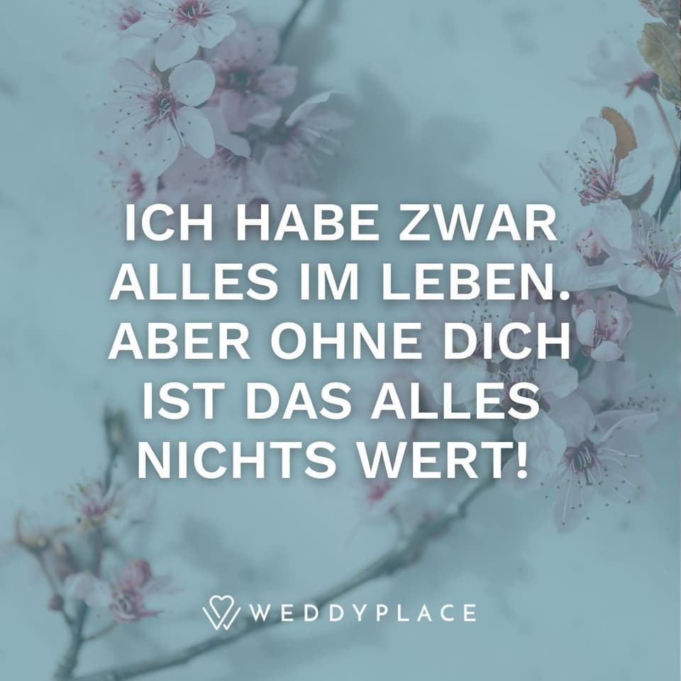 Ich liebe Dich Sprüche verschlüsselt: Ich habe zwar alles im Leben. Aber ohne Dich ist das alles nichts wert!