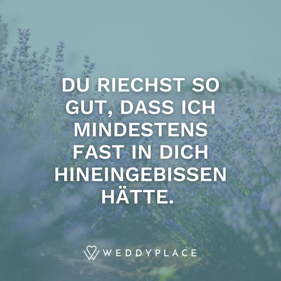 Ich liebe Dich verschlüsselt: Du riechst so gut, dass ich mindestens fast in Dich hineingebissen hätte.