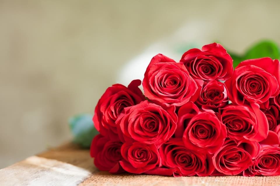 rote rosen