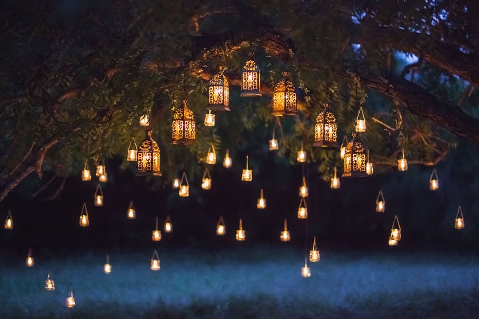 Viele Kerzen die in einem Baum hängen