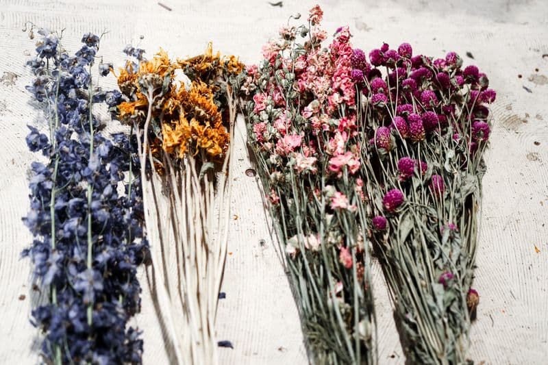 Die schönsten Blüten allein schön getrocknet und in Szene gesetzt