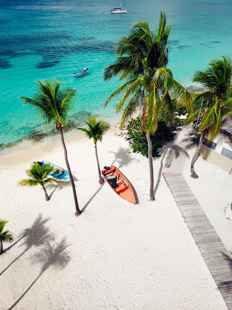 Palmen und feiner Sandstrand mit Blick auf das Meer in der Karibik.