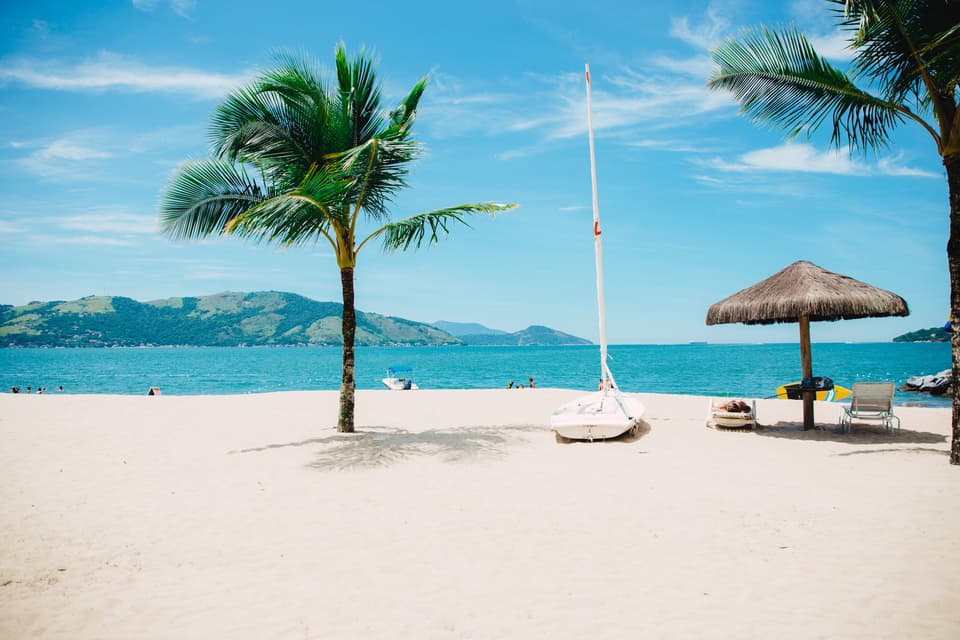 Palmen am Strand.