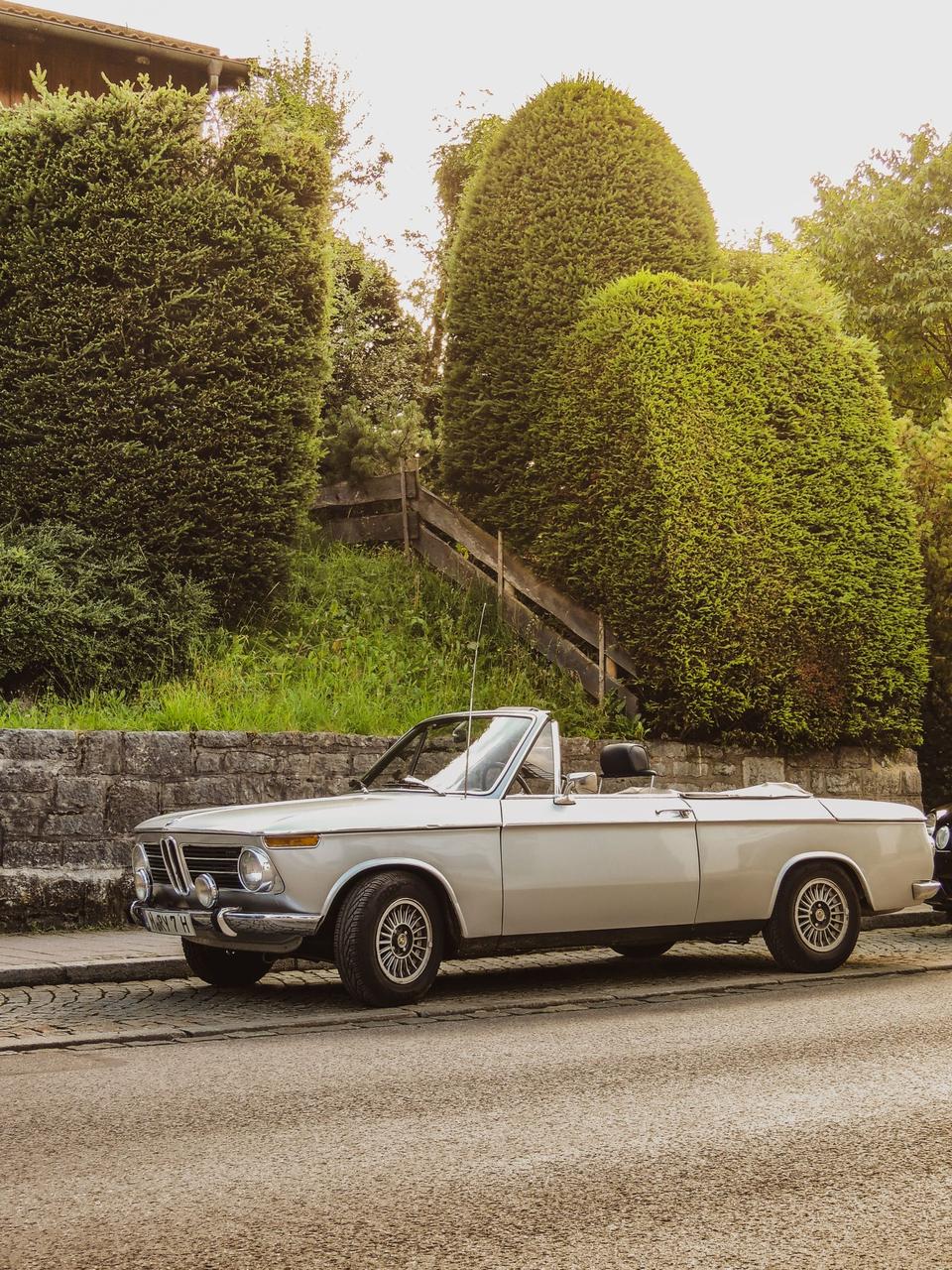 geparktes Cabrio vor grüner Hecke